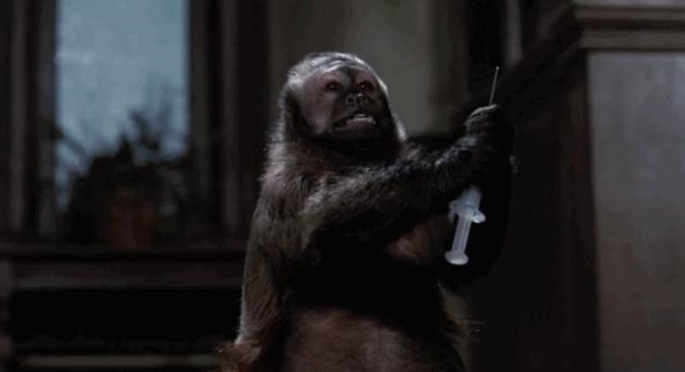 The top 25 killer animal B-movies