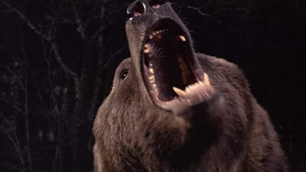 The top 25 killer animal B-movies