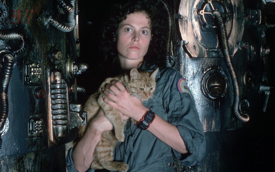 Jonesy from Alien gets his own book - The Dark Carnival